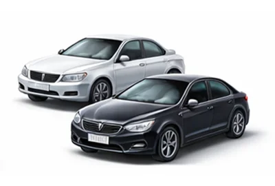 Expressleverans Bilar i Zwijnaarde Belgien